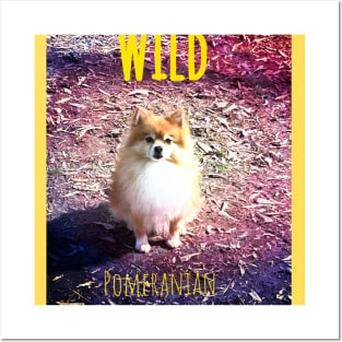 Wild Pomeranian Posters and Art